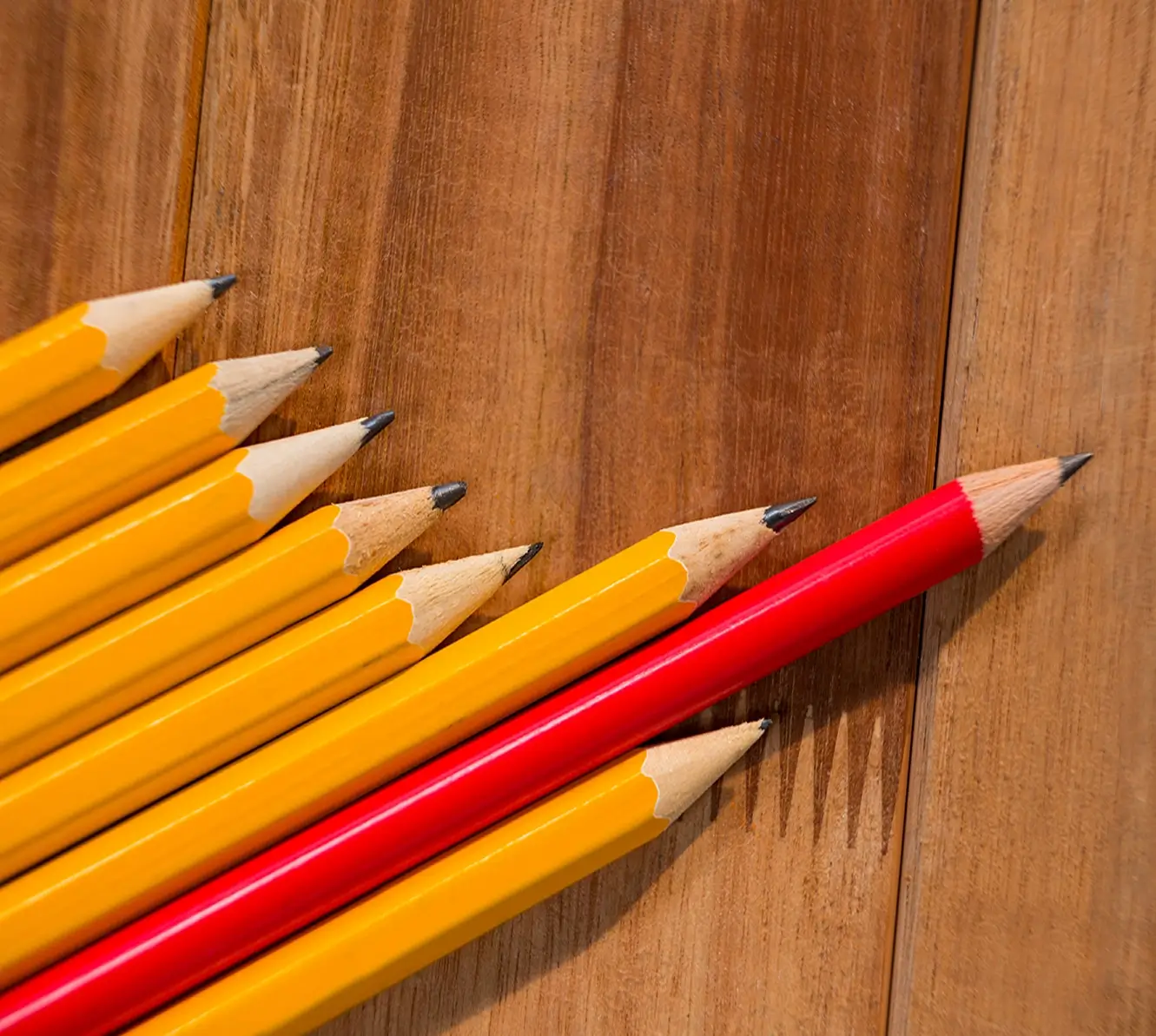 Banner Cursos