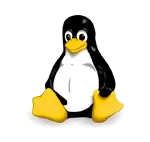 LINUX