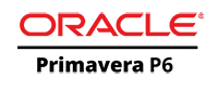 P6 Logo